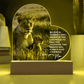 To My Daughter – Lioness Acrylic Plaque | A Mother's Love & Strength